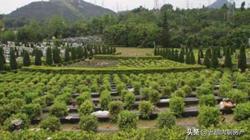 现在墓地比房价贵吗,骨灰房比墓地便宜吗