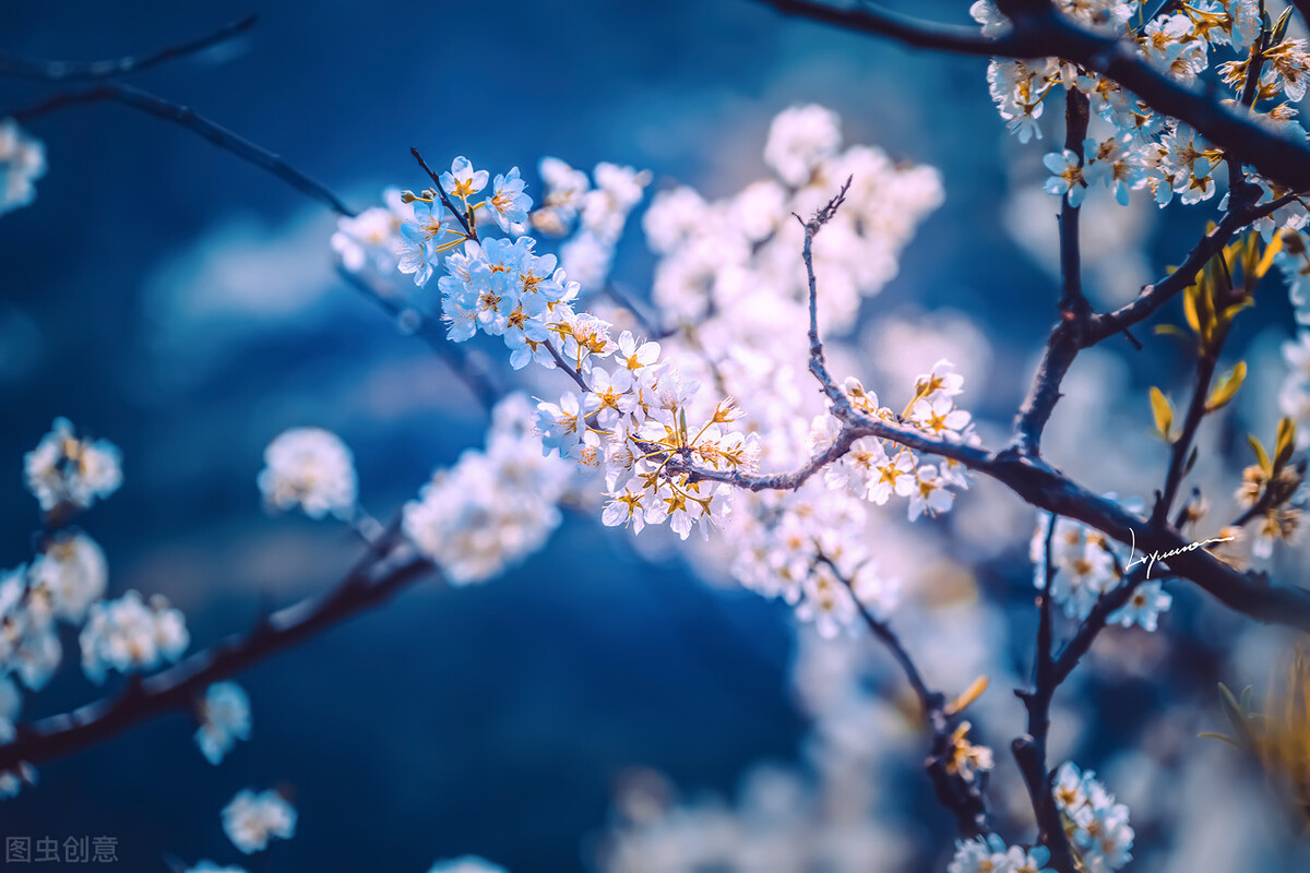 600万大v被粉丝打假,六百多万粉丝的大v