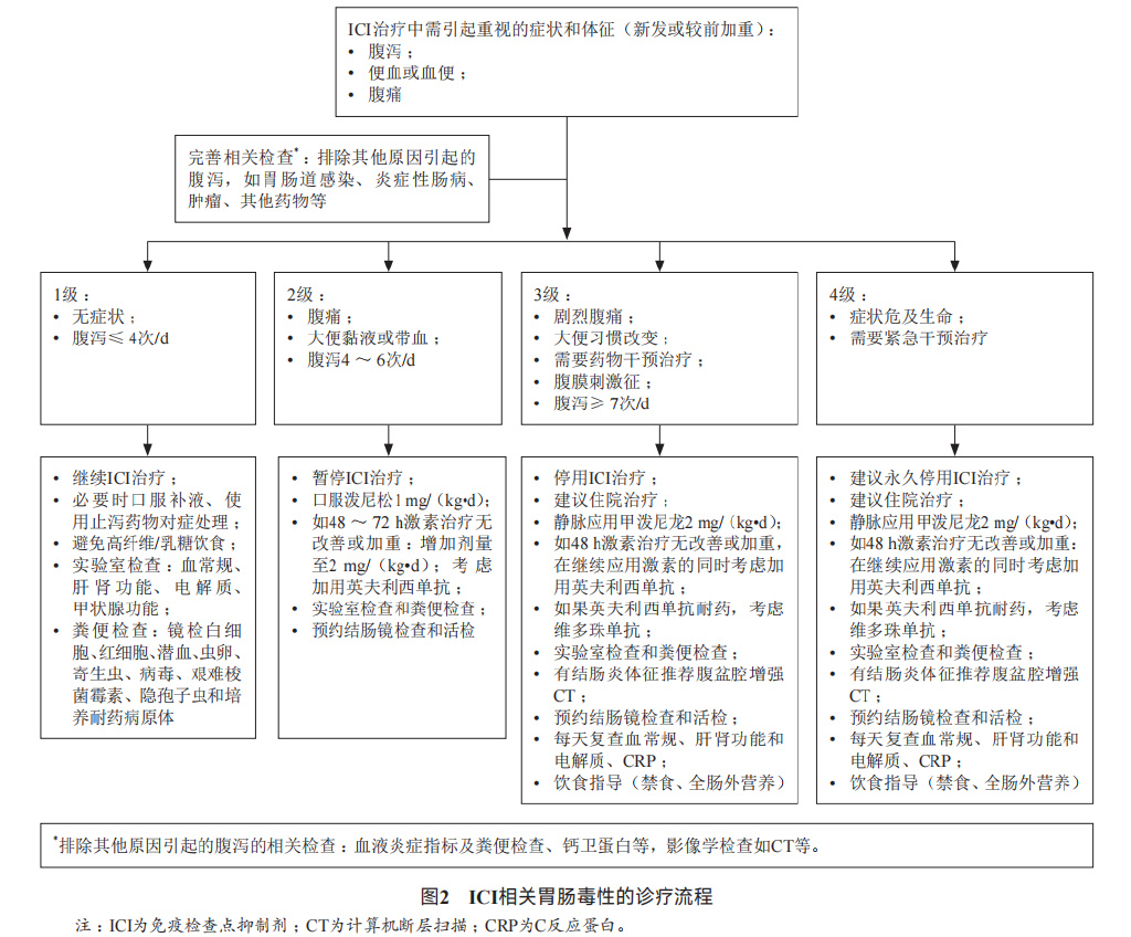 消化系统恶性肿瘤合理用药指南,胃肠道肿瘤免疫治疗前景