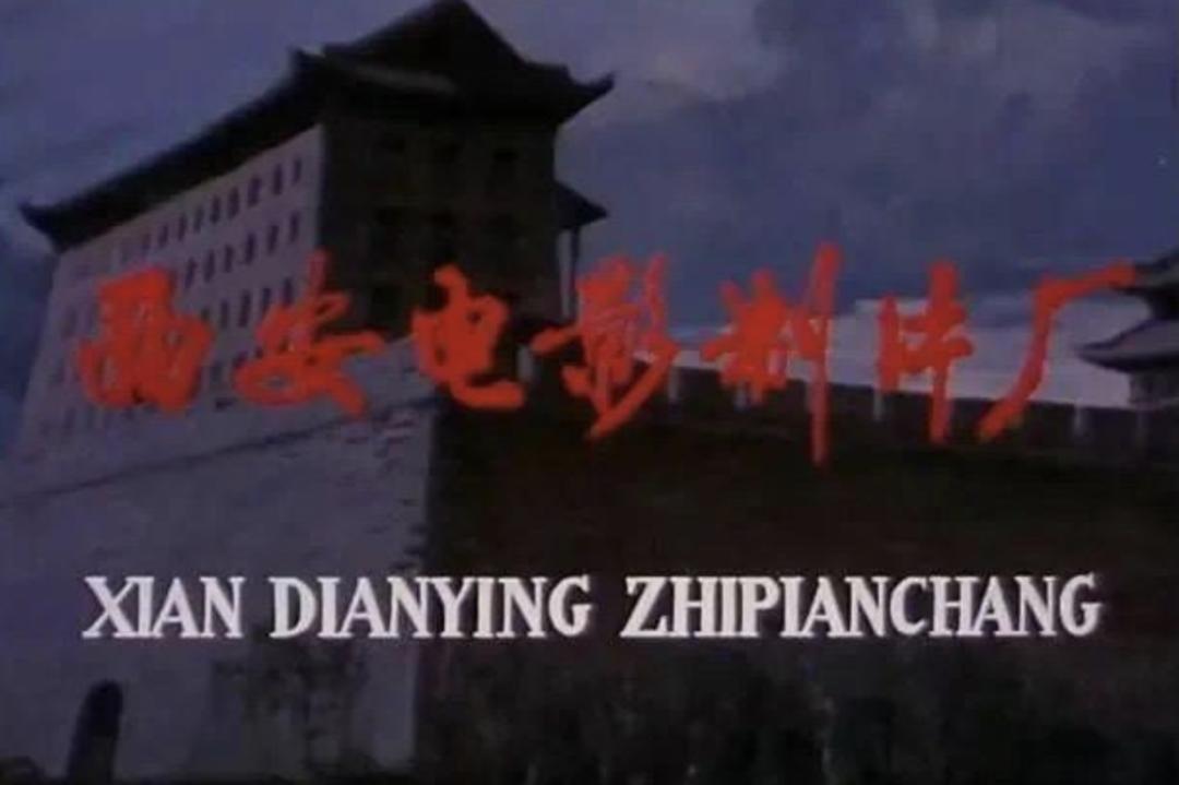 被外貌耽误的女歌手演员,被长相耽误演技的演员