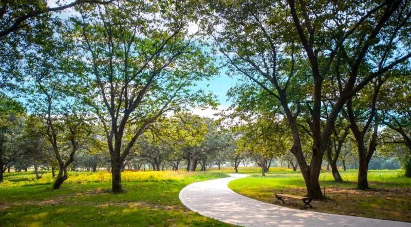 搜寻沭阳花木之乡,中国花木之乡沭阳