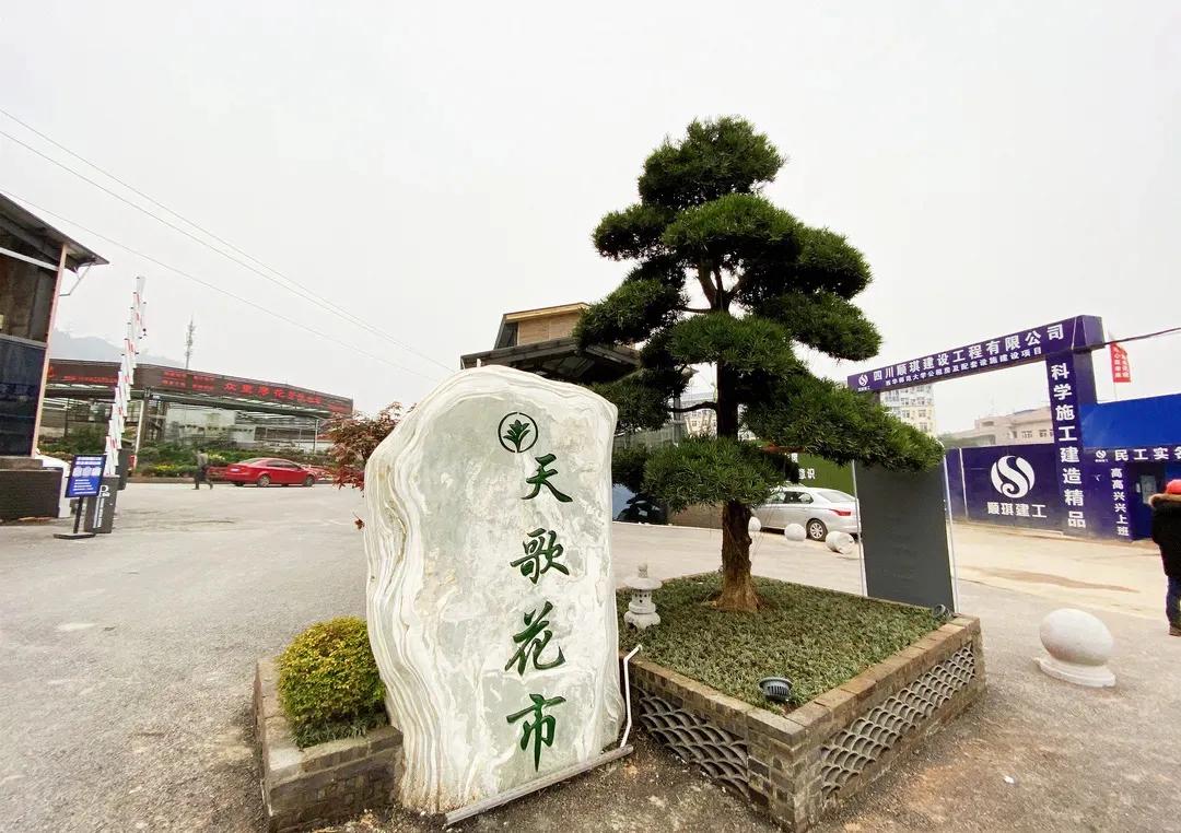 南充川北医学院大学城校区启动勘察设计招标，老校区何去何从？