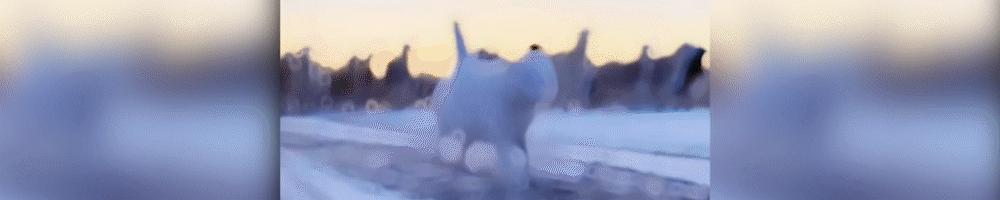 放水但是不通胀的原因,通缩就要大放水吗