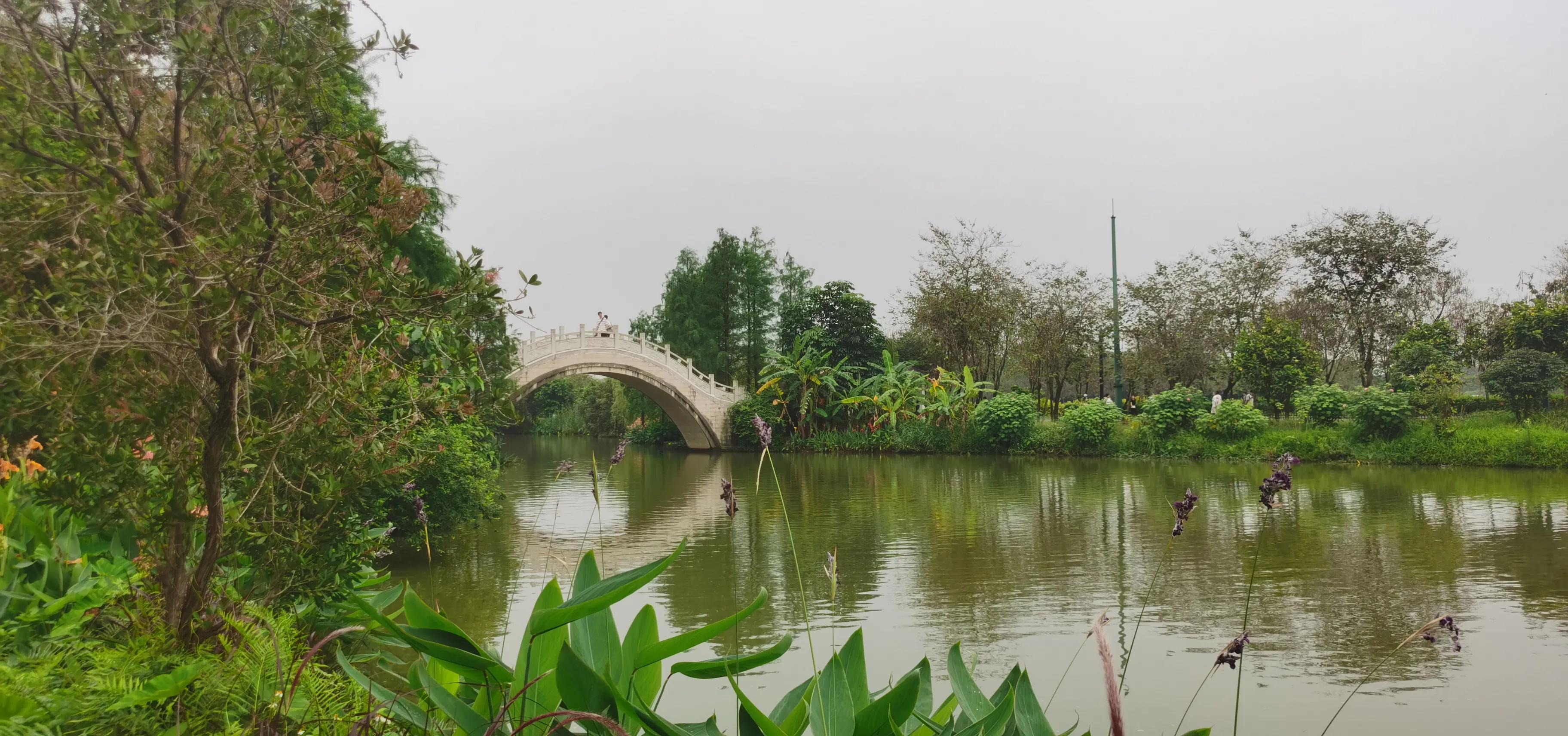 海珠湖湿地公园观鸟,海珠湖湿地公园地图
