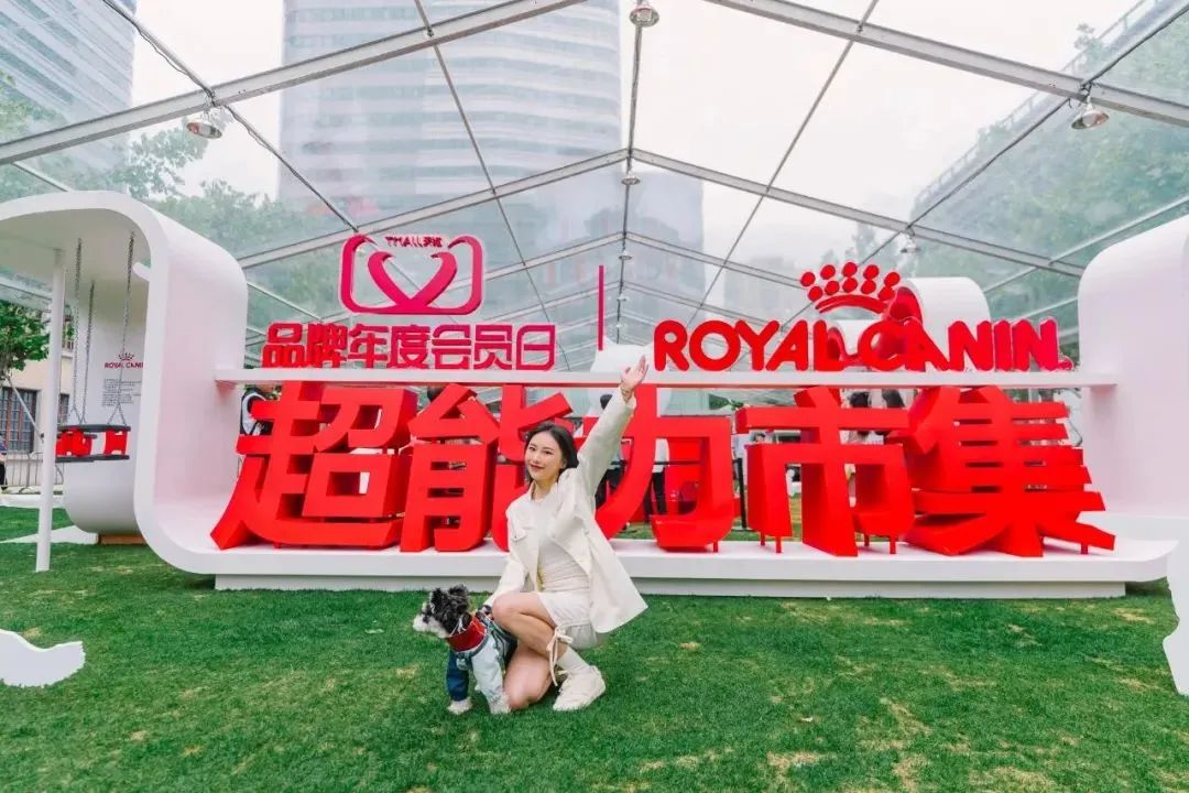 市区100平米宠物游乐园,宠物游乐场室内