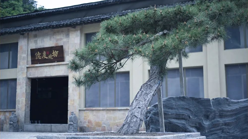 鍐嶅害澶哄緱2023骞磇sc鍙岄噾澶у,鍐嶅ず澶у