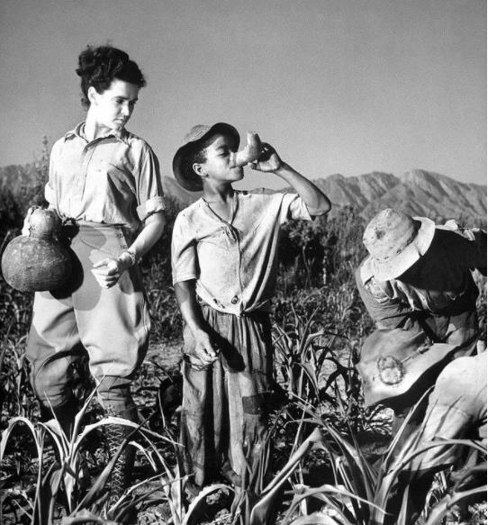 巨人安德雷力气有多大,巨人安德雷视频