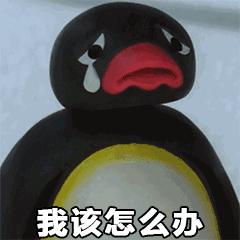 瀹嬩腹涓逛綆鎯呭晢鏃跺埢,瀹嬩腹涓规嫑浜虹儲