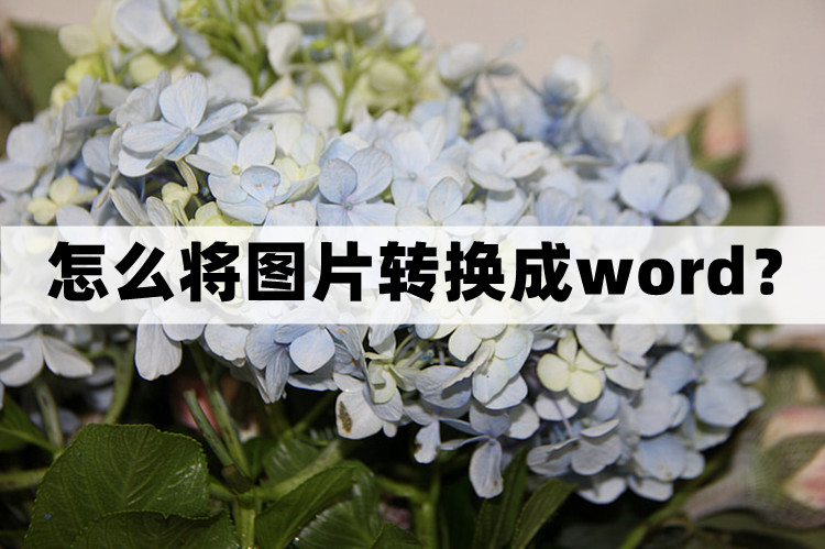 图片提取文字转换成word文档,怎么将试卷图片转换成word文档
