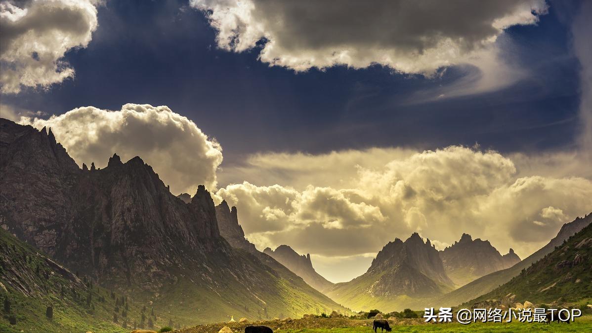 学生必读书单网文,百部年轻人必读书单