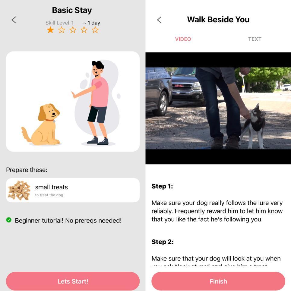 观望3年、准备7个月,我在湾区做了一个宠训App|对话创始人