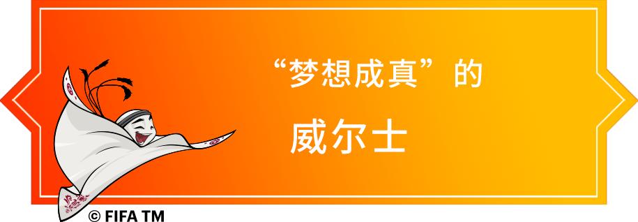 卡塔尔世界杯32强巡礼|64年追梦成真的威尔士队