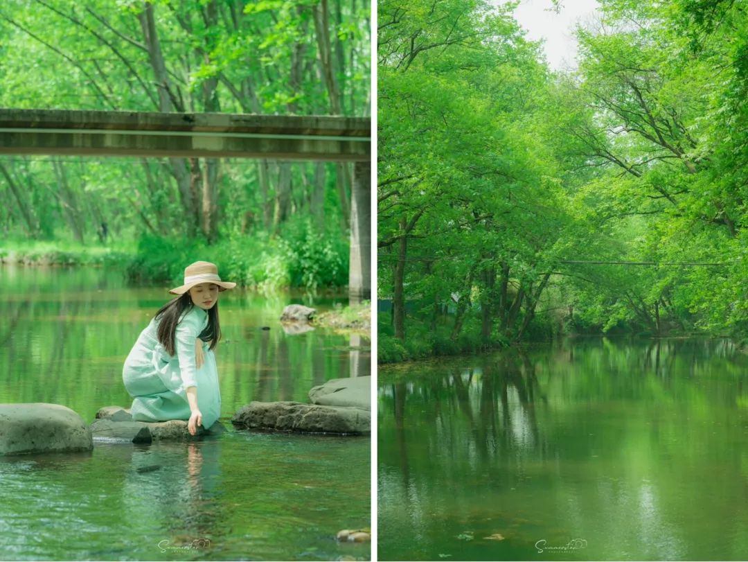 夏天凉快风景好又有水的旅游景点,夏天旅游景点哪里最好玩
