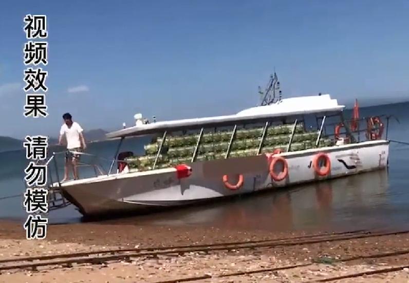 寡人单挑7个60级神豪回放,寡人喝酒一战封神视频是真是假