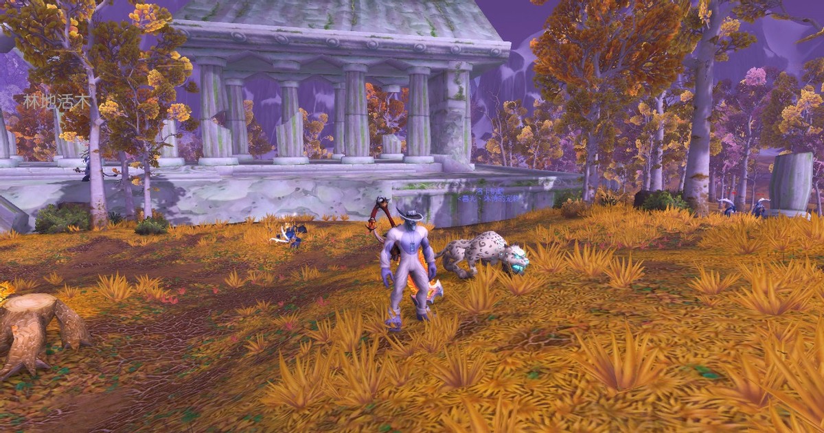 沐小福微讲堂系列-神奇动物在艾泽拉斯(二)