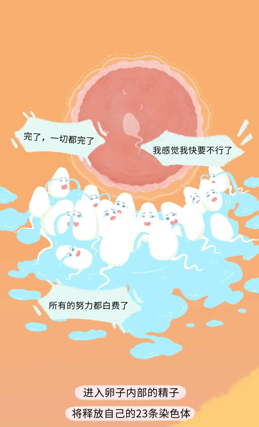 漫画：精子进入女生体内的全过程曝光！别害羞，早知早受益