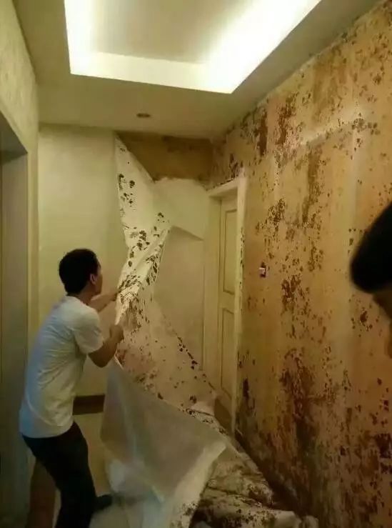 墙衣的五大缺点,墙衣怎么选