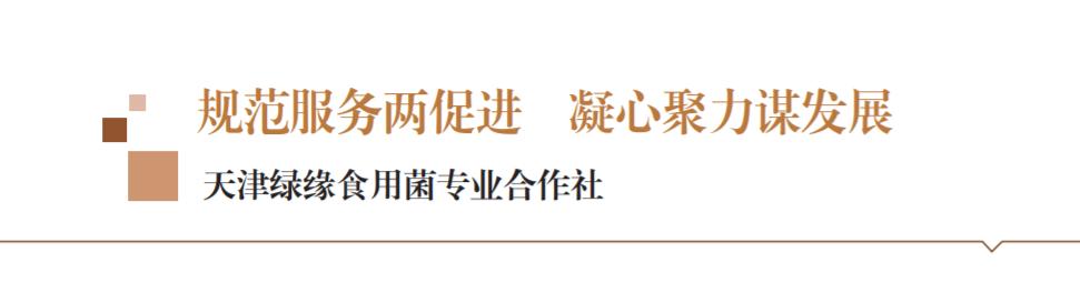 天津绿缘食用菌合作社怎么样,绿缘食用菌合作社怎么样