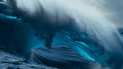 唤醒孩子内驱力的4部神级纪录片,励志纪录片推荐适合小学生