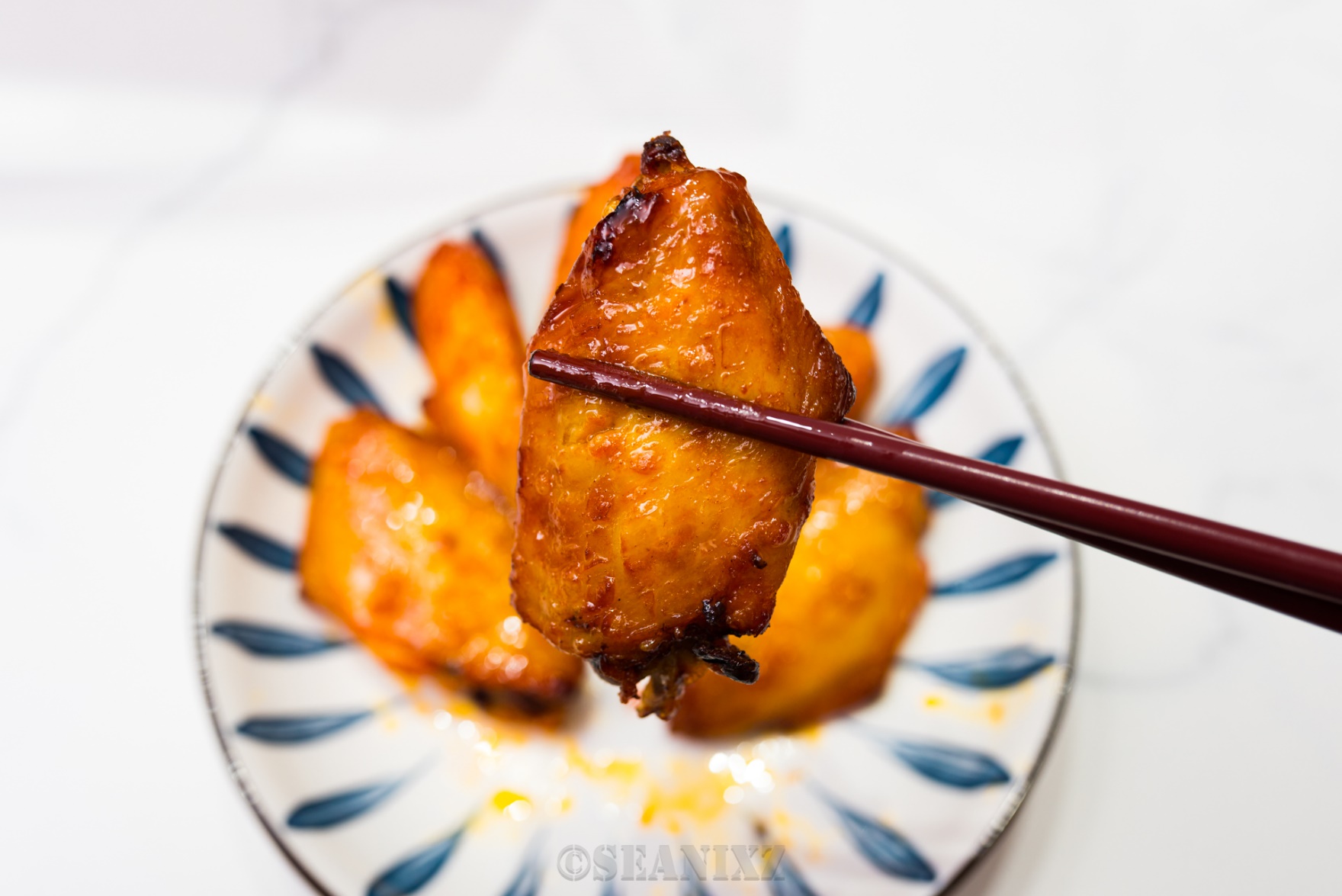 aca北美电烤箱g40使用说明,北美电器aca烤箱使用说明