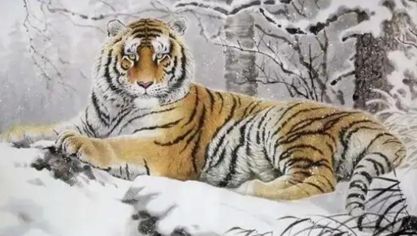 湖南奇人贺业武：一生杀死305只老虎，到死也不透露秘药配方