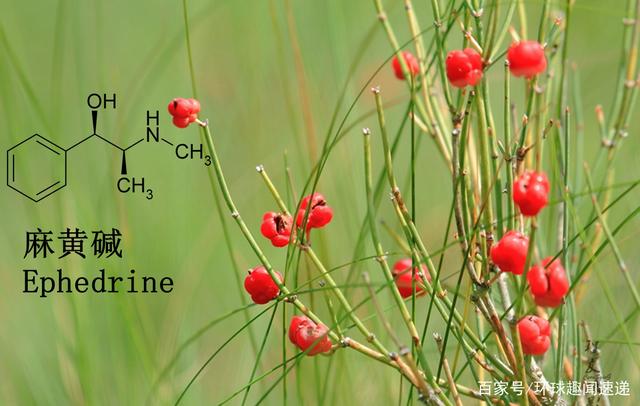 郭美美被判什么罪,郭美美第一次犯罪犯了什么罪