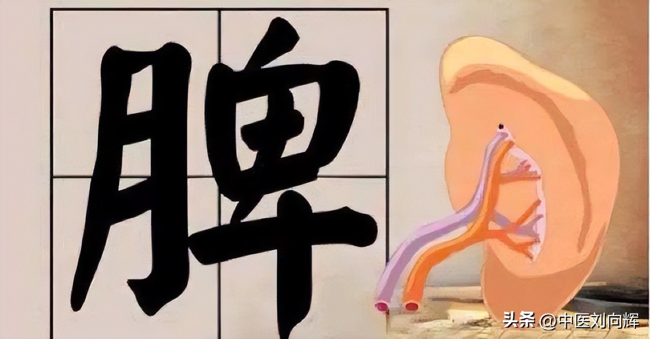 体内有湿脾虚肝郁尿黄,脾湿痰湿小便黄