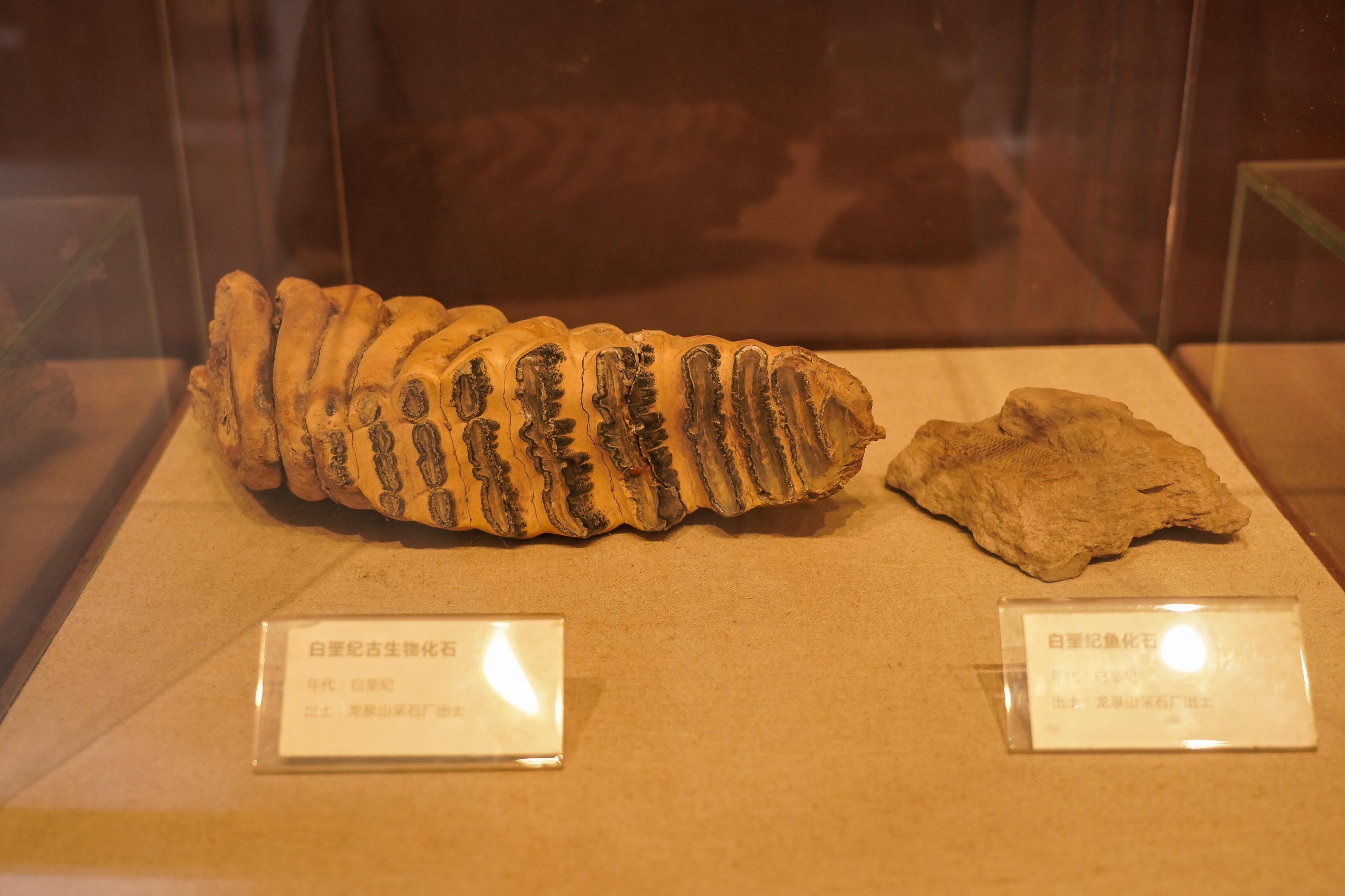 龙泉洛带古镇自驾游攻略,龙泉古镇攻略一日游可以带孩子吗