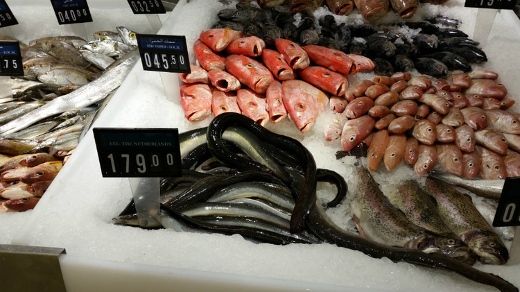 跟我一起去逛逛多哈的超市，想不到最贵的竟然是我们常吃的猪肉