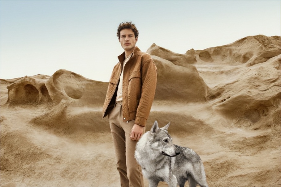 七匹狼秋季打底衣服,七匹狼秋季时尚旅游鞋