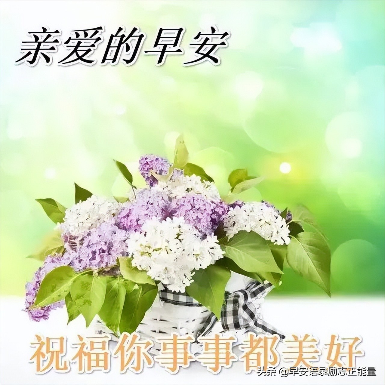 早安励志正能量短句励志图片,早晨励志语录正能量短句图片