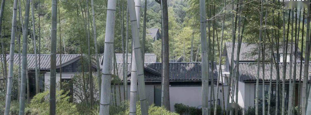 江浙沪8大五星级度假酒店任选,杭州度假高端酒店推荐