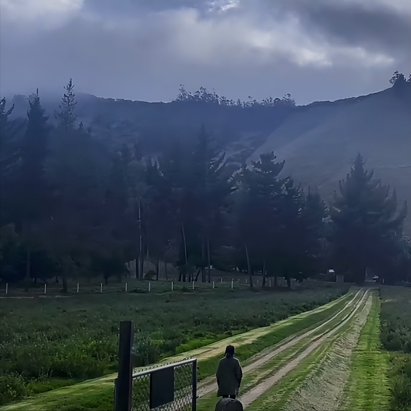 西语最好学,学西语可以去哪个大学