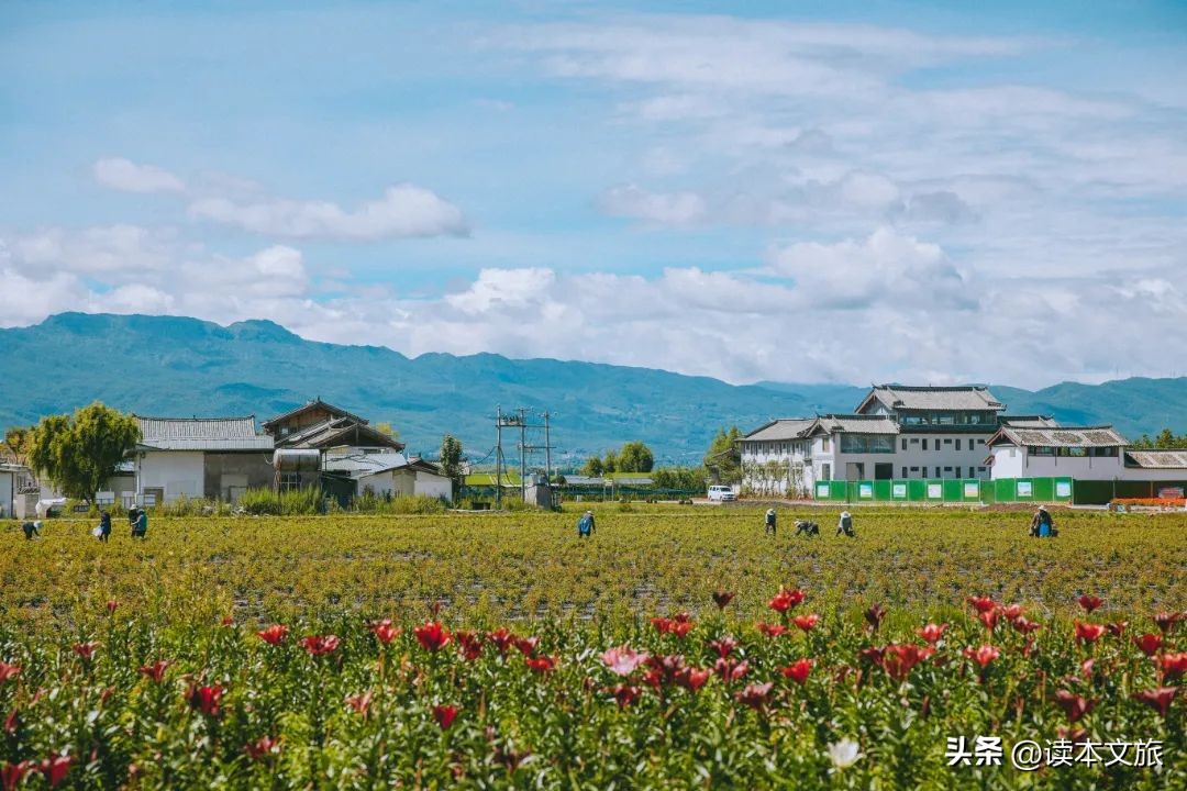 我被丽江治愈了,你呢?