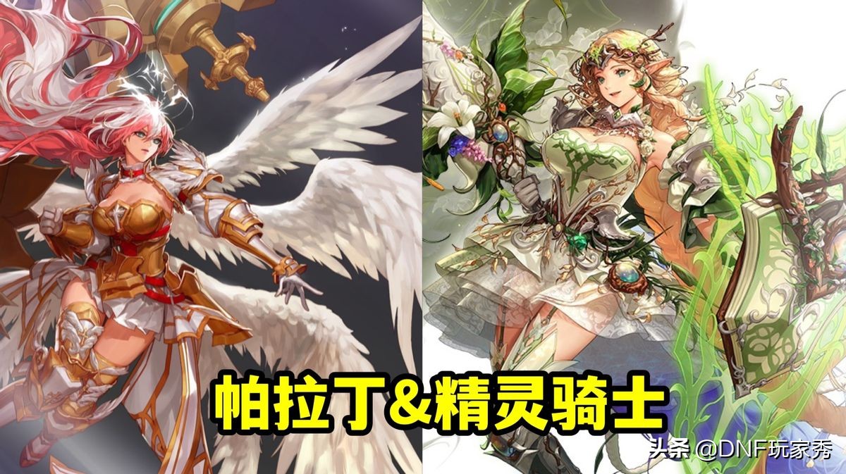 dnf守护者帕拉丁护石,dnf守护者npc套