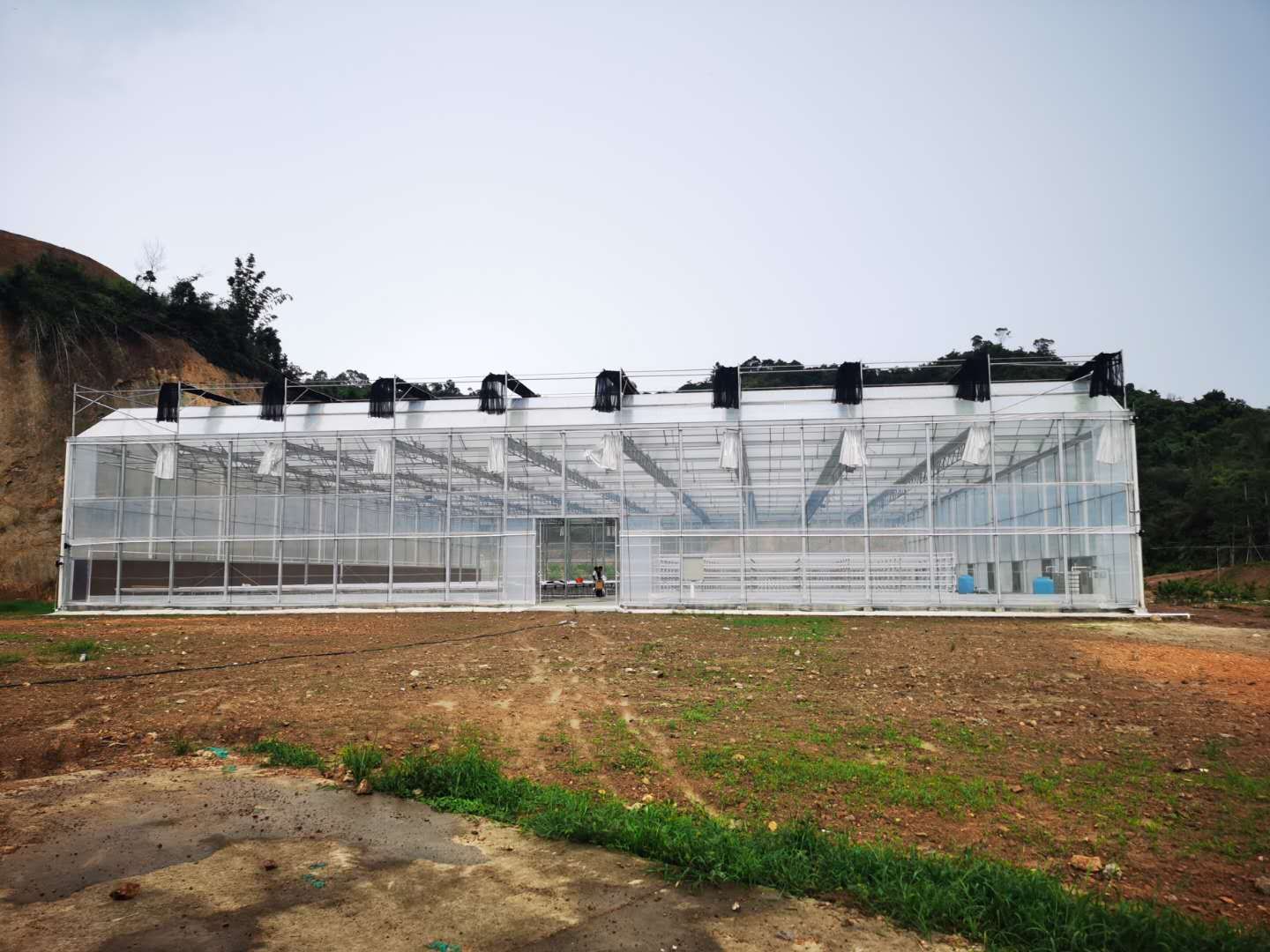 简易薄膜连栋温室大棚建造全过程,连栋薄膜温室大棚建造教程