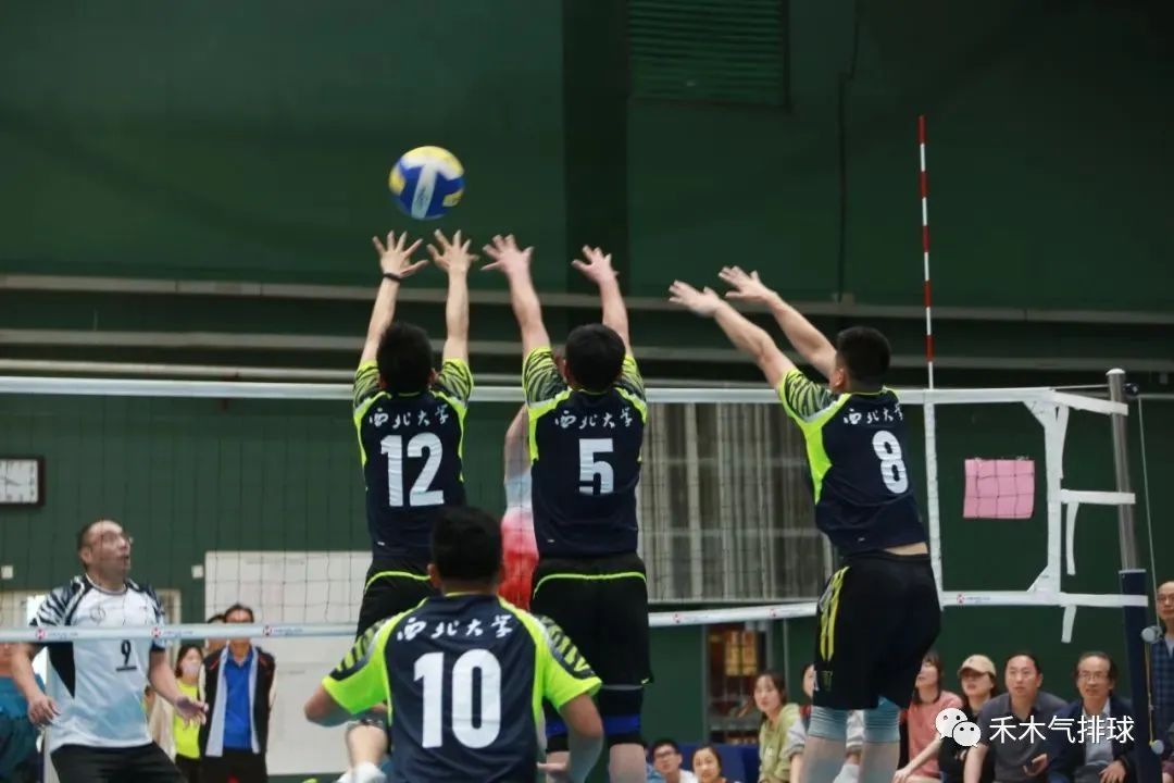 梯次进攻战术气排球,挑战速度与质量的完美结合