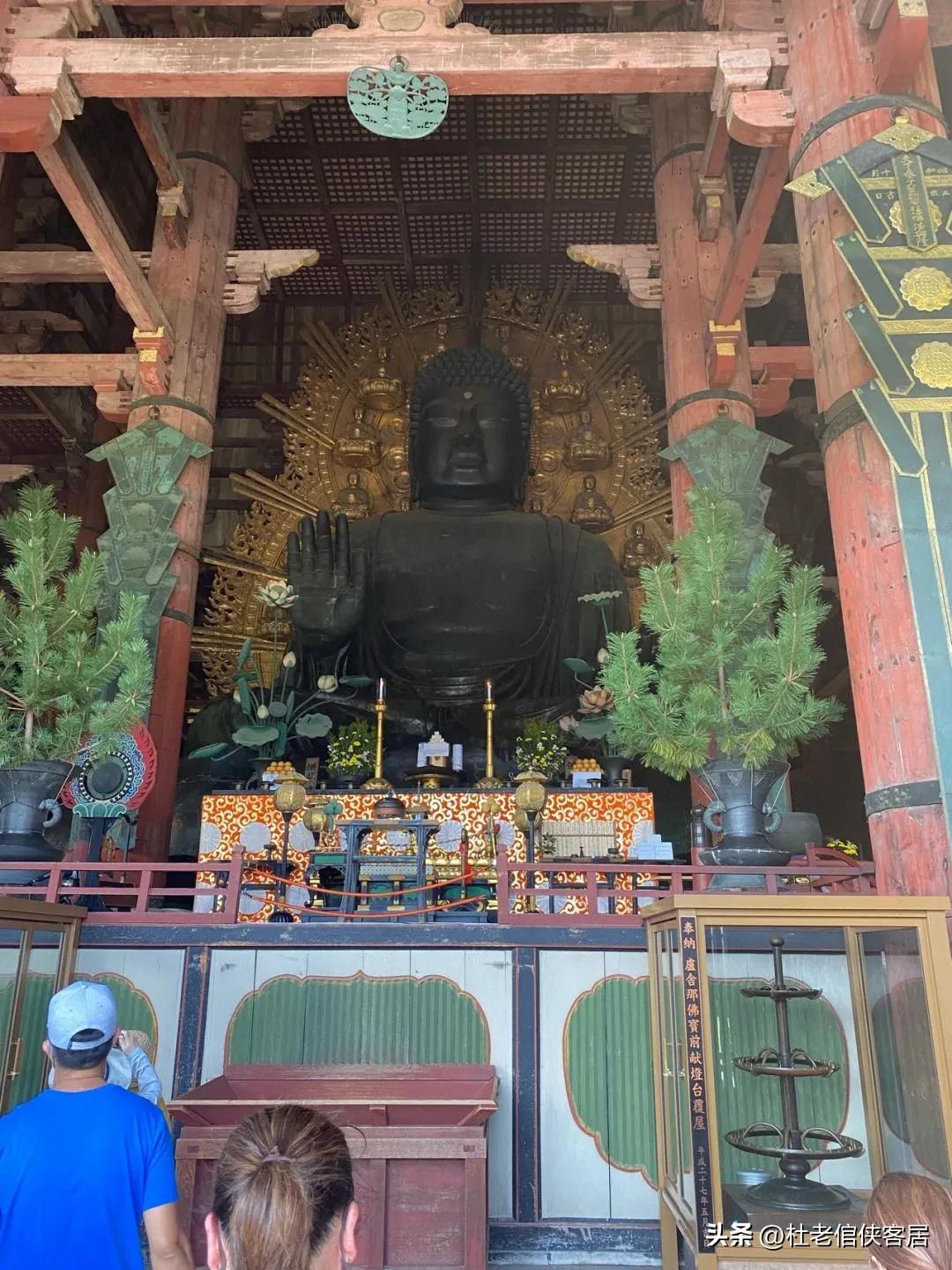 日本京都奈良之行,日本奈良大阪东京八天之旅