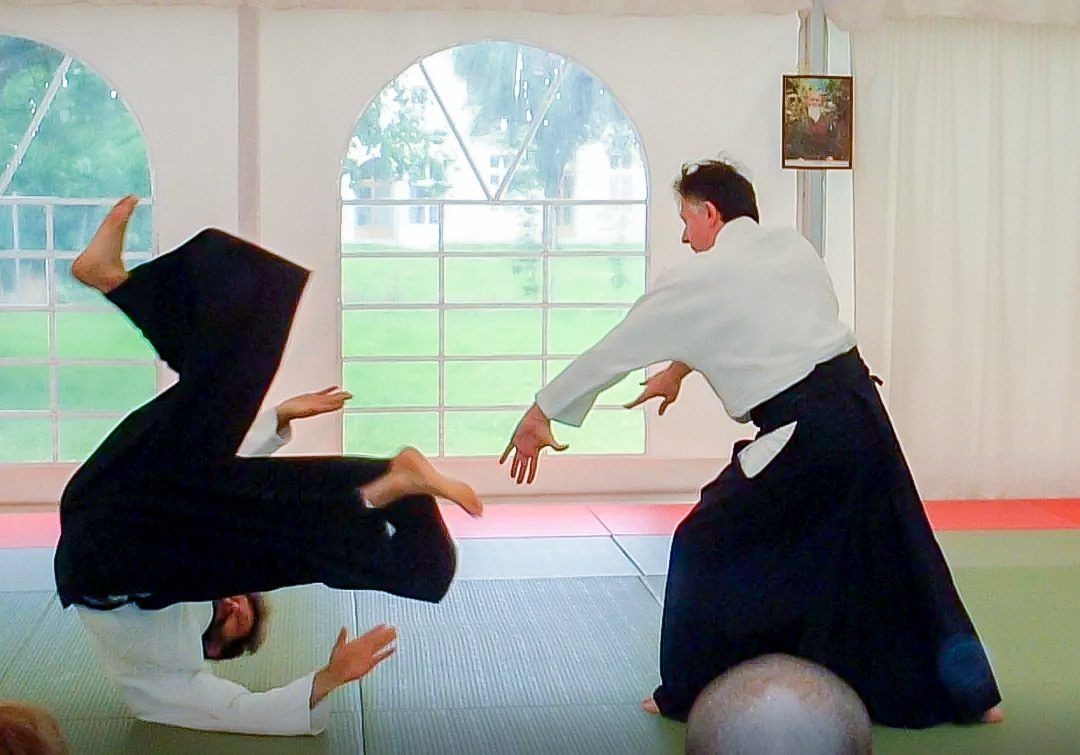 释放内在潜力,日本合气道实战技术