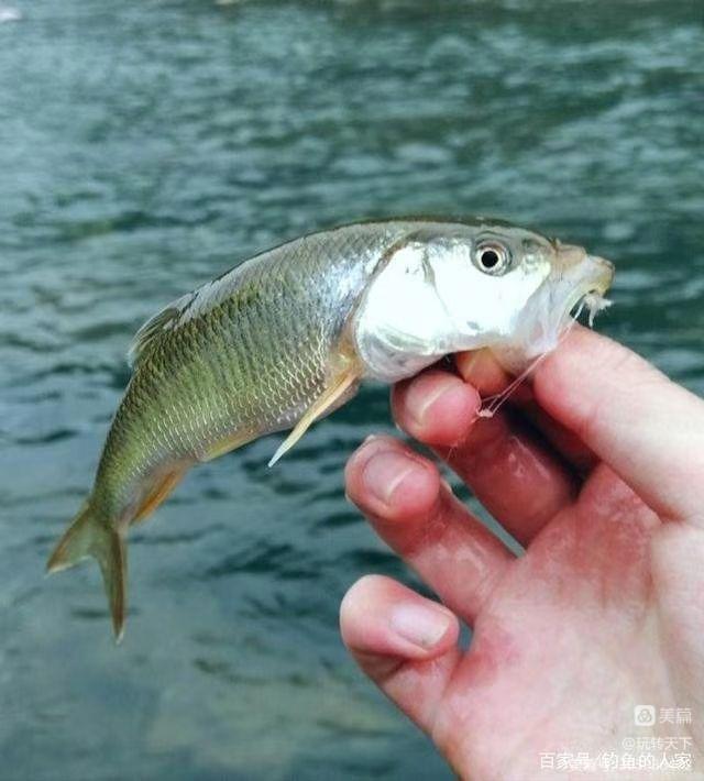 安吉竹海自驾游攻略一日游,安吉竹海旅游攻略二日游