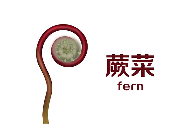 被列为致癌名单的四种蔬菜,哪三种蔬菜不能放进冰箱还会致癌