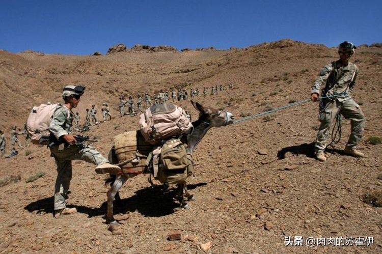 美国战术手推车,美军全地形战术手推车