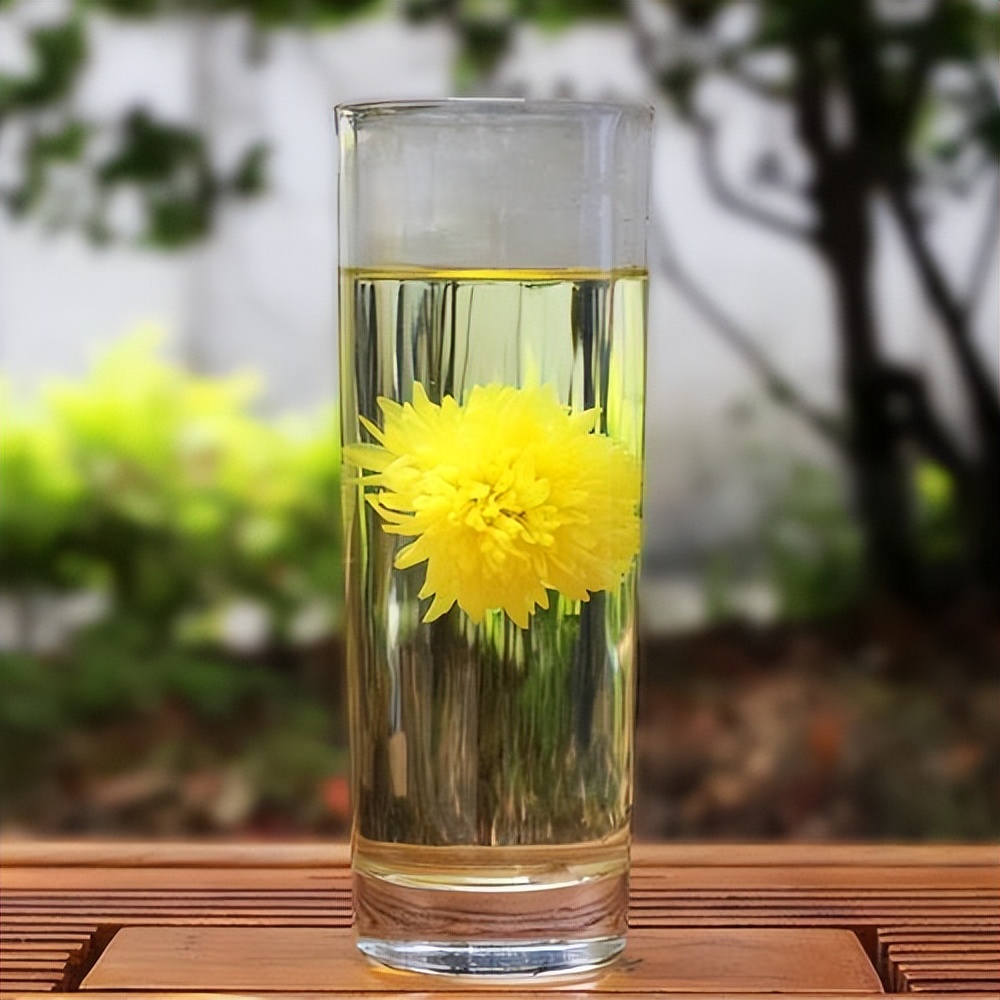 上了年纪要忌菊花茶？建议：牢记“2喝2不喝”，浑身舒爽精神好