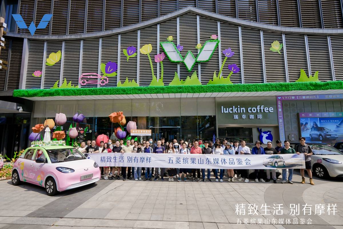 五菱缤果新款缺点,五菱缤果代步车