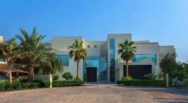 迪拜妻女逃亡 (迪拜酋长的妻女为何要逃离)