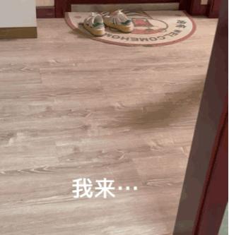 沙雕搞笑表情包头像,沙雕搞笑表情包图片静图