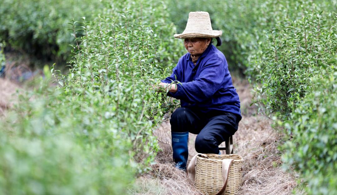 如果你要写新余，就不能只写新余