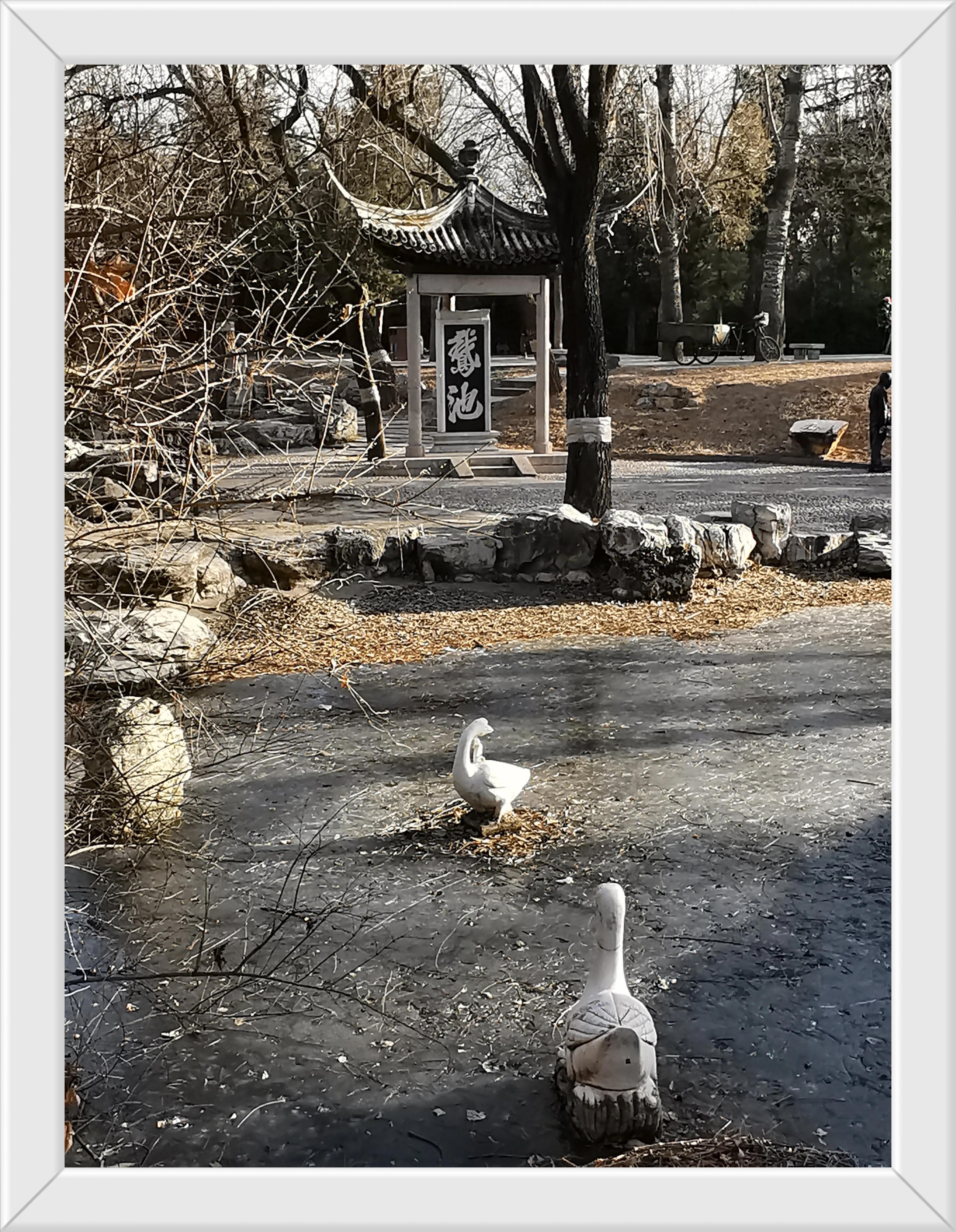 游玩趣乐,游玩陶然亭公园感受