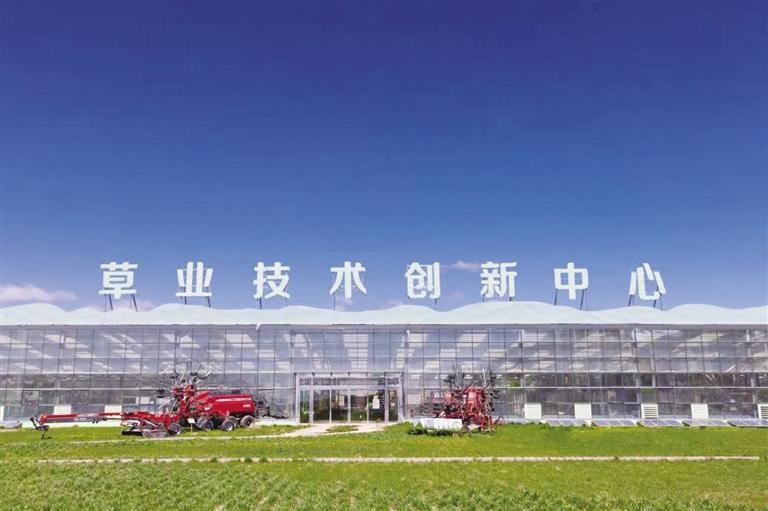 蒙小草,蒙小草沙棘原浆