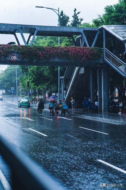 双色球128期蓝号,双色球142期6个红球号码